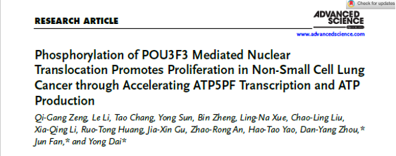 文章标题页截图